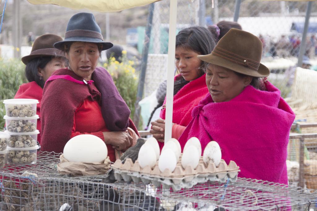 Marché de Guamote [Equateur] - 2015