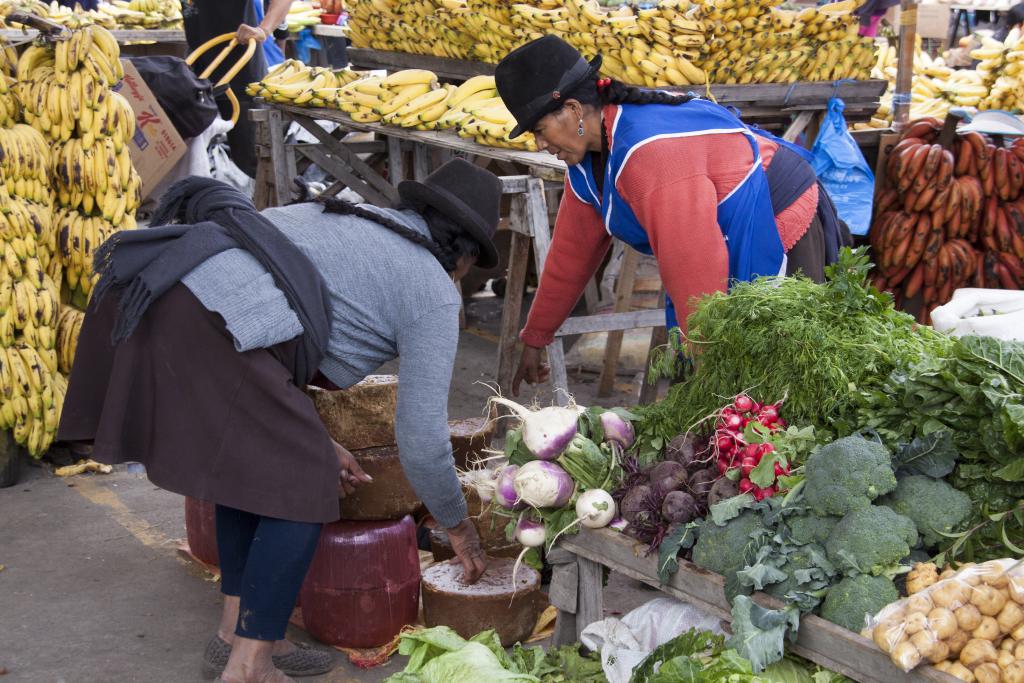 Marché de Saquisili [Equateur] - 2015