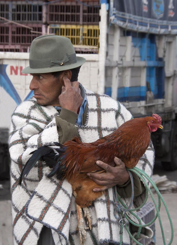 Marché de Saquisili [Equateur] - 2015