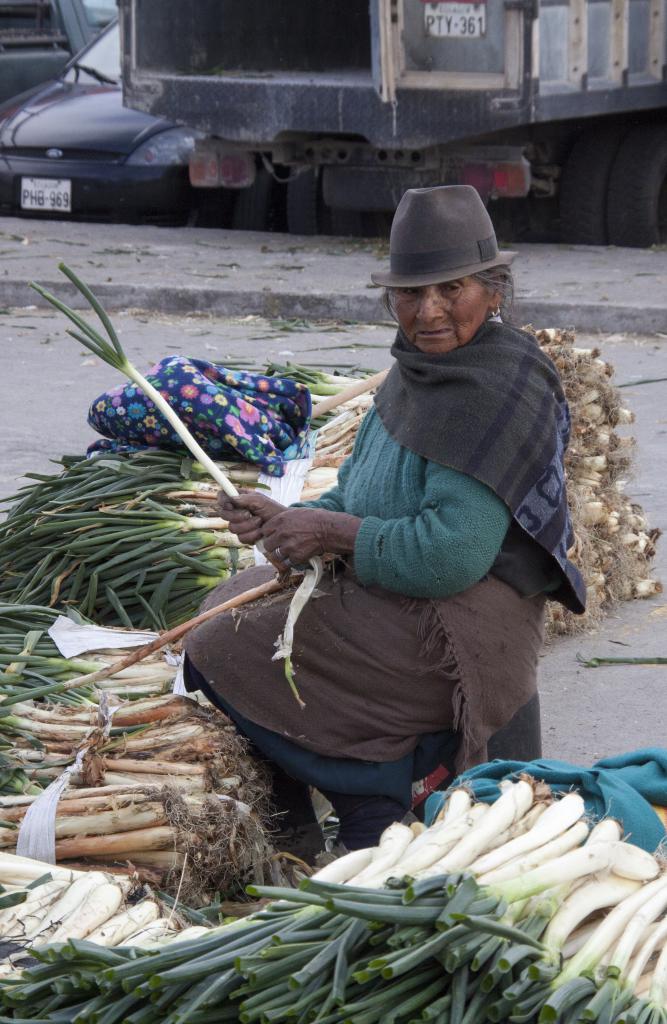 Marché de Saquisili [Equateur] - 2015