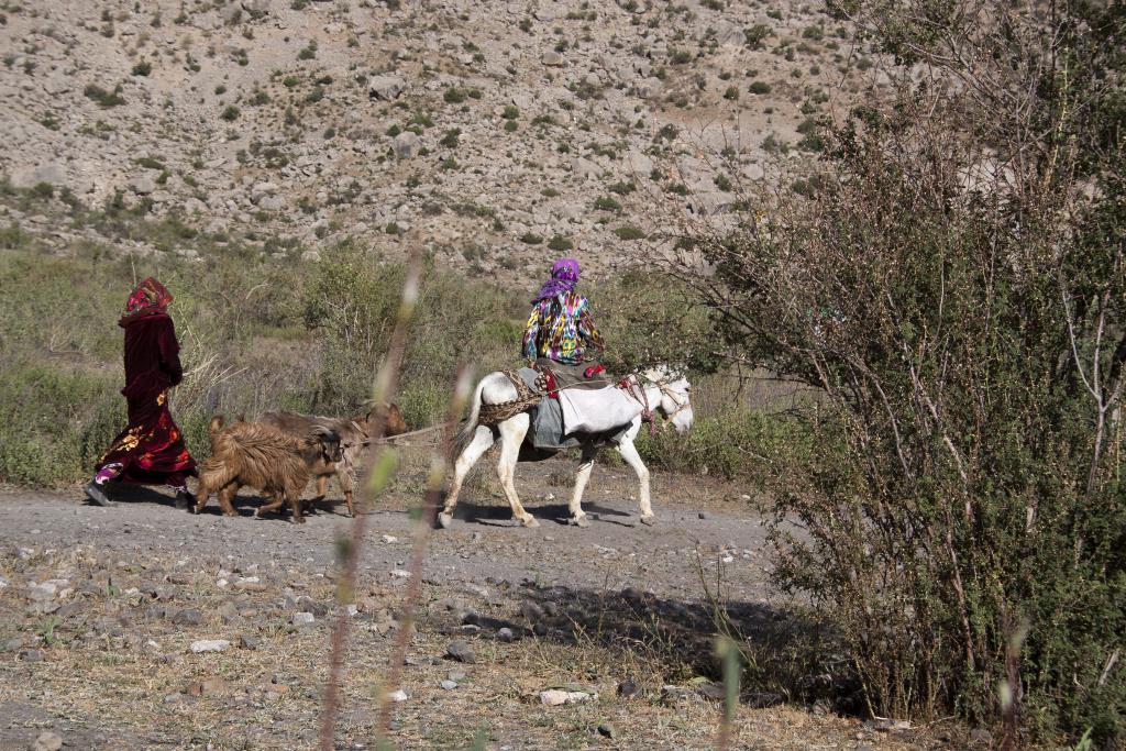 Bergères et chèvres, Monts Fanskye [Tadjikistan] - 2013