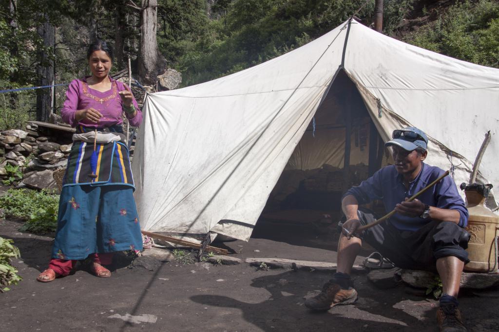 Semi-nomade filant la laine, Dolpo [Népal] - 2012