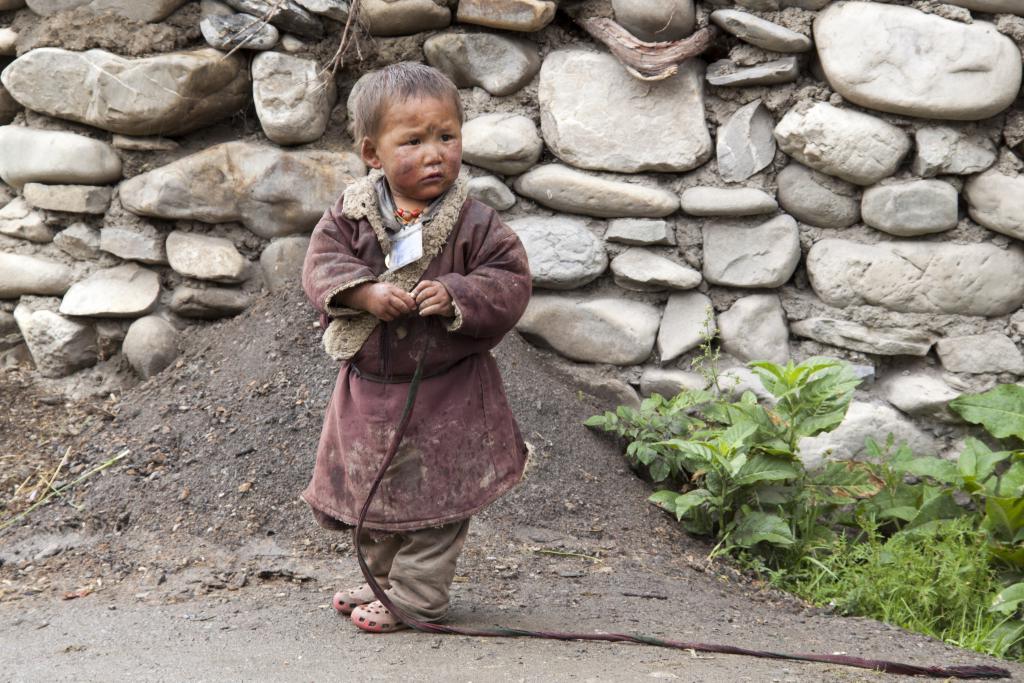 Dho Tarap, Dolpo [Népal) - 2012
