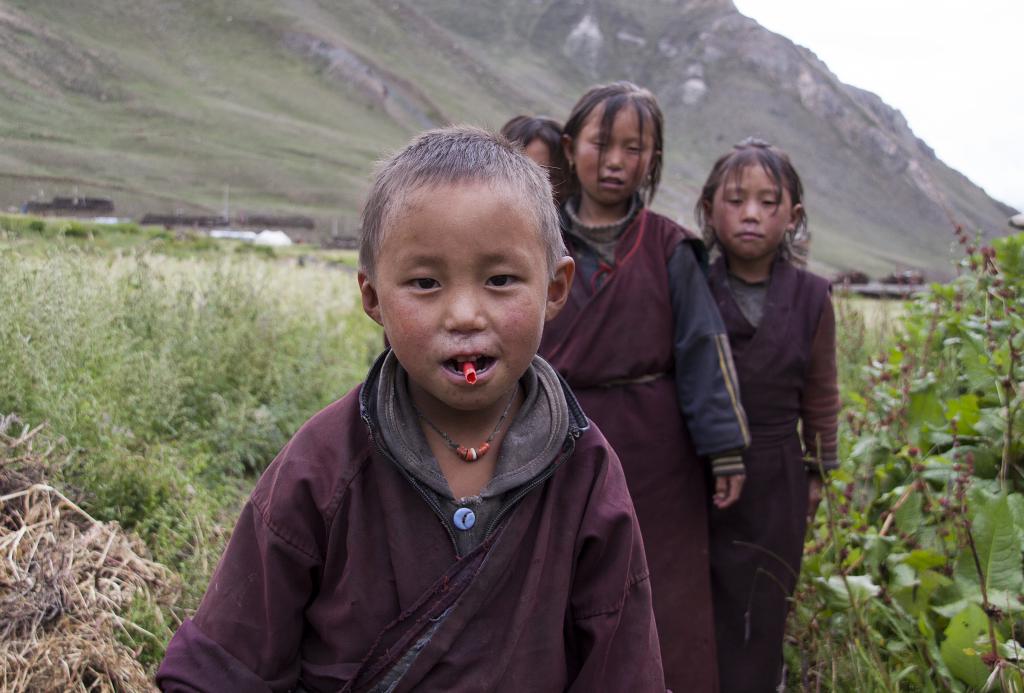 Dho Tarap, Dolpo [Népal) - 2012