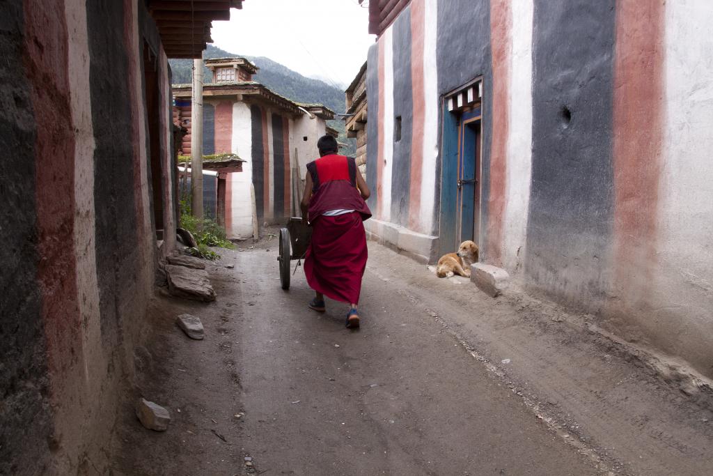 Dzongsar, Pays de Kham, ancien Grand Tibet [Chine] - 2014