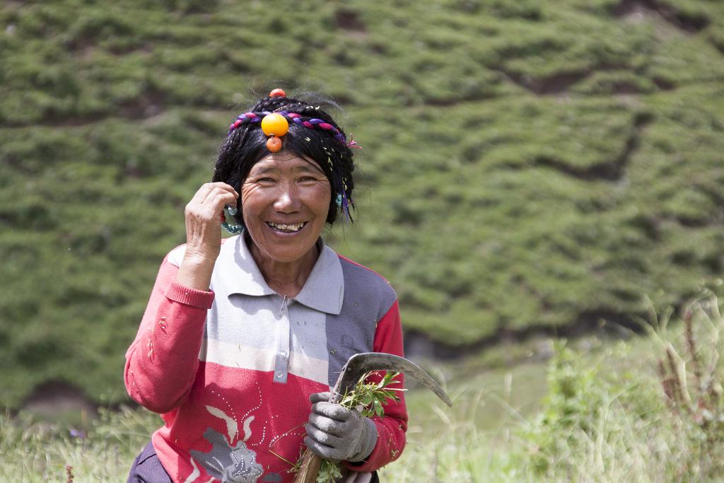 Dzongsar, Pays de Kham, ancien Grand Tibet [Chine] - 2014