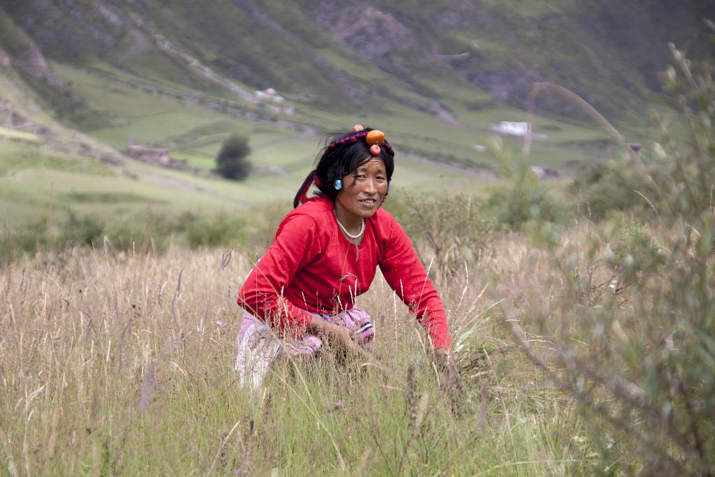 Au-dessus de Dzongsar, Pays de Kham, ancien Grand Tibet [Chine] - 2014