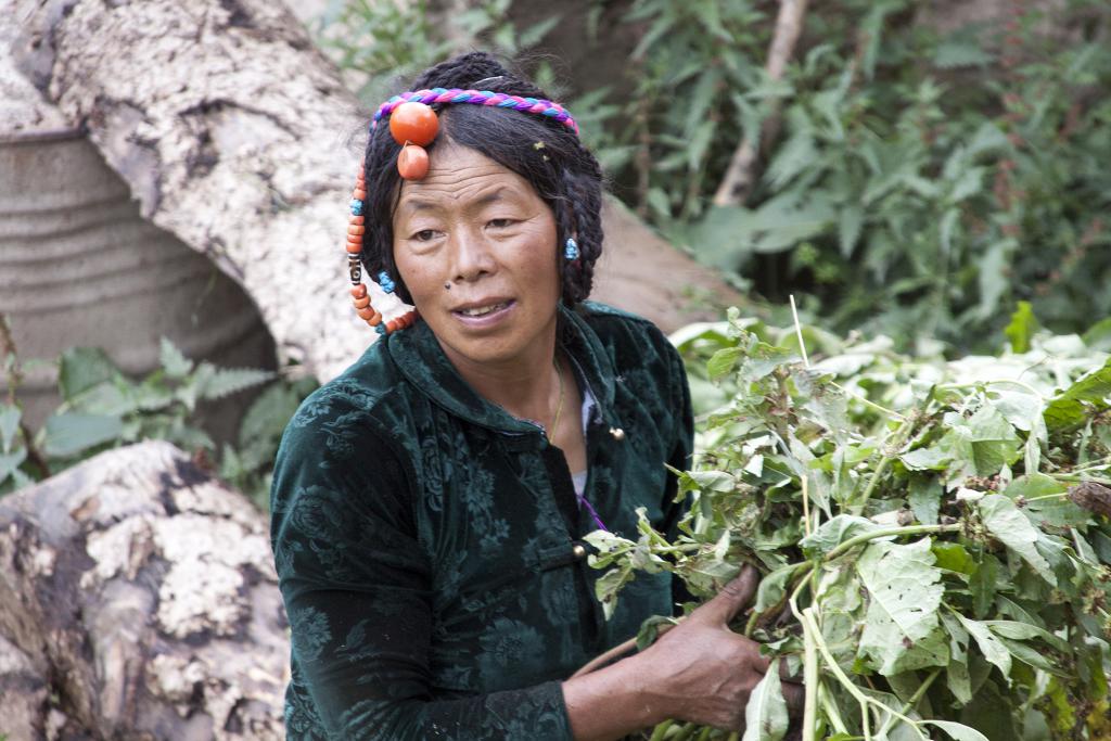 Dzongsar, Pays de Kham, ancien Grand Tibet [Chine] - 2014