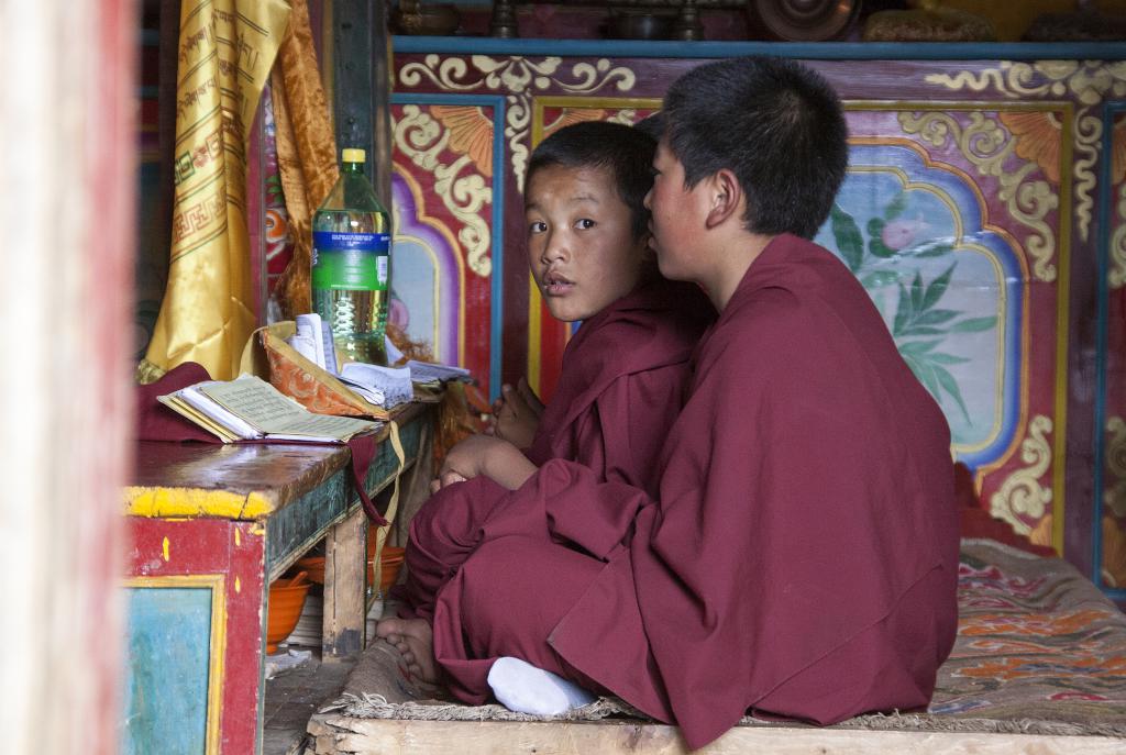 Puya, Pays de Kham, ancien Grand Tibet [Chine] - 2014