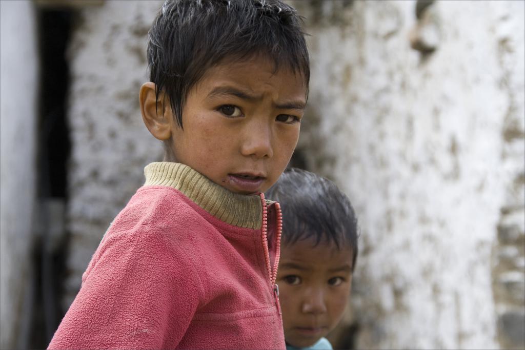 Zanskar [Inde] - 2010