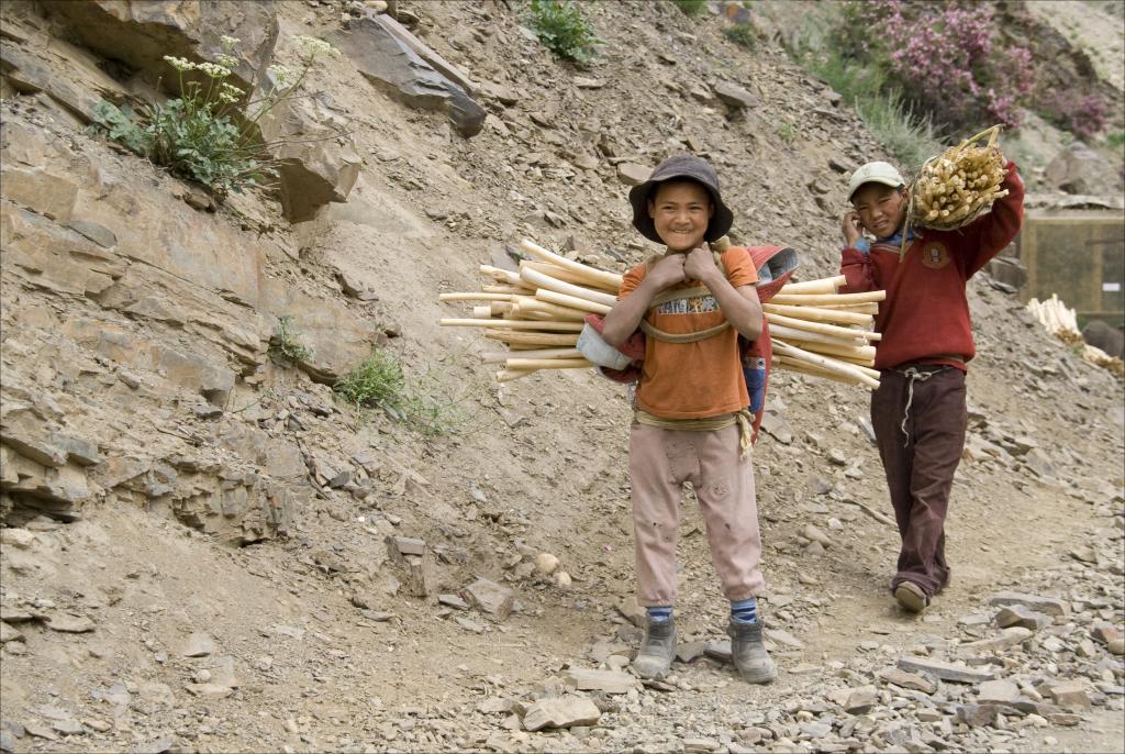 Zanskar [Inde] - 2010