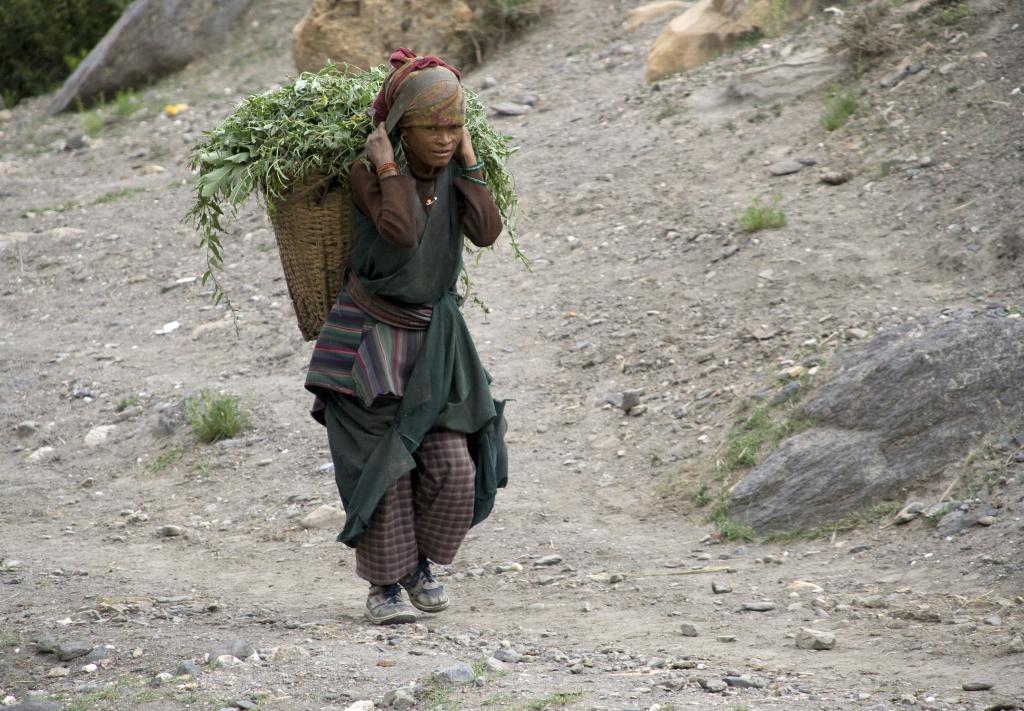 Entre Geling et Dkamar, Mustang [Népal] - 2008