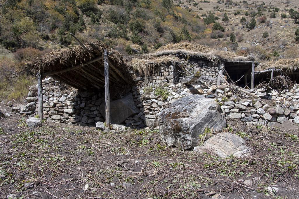 Abri de semi-nomades, vers Kulu Khar, district de Gasa [Bhoutan] - 2018