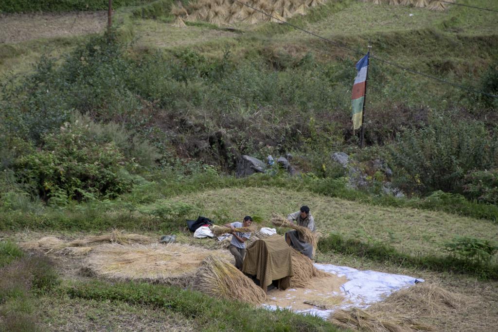 Près du village de Damji, [Bhoutan] - 2018