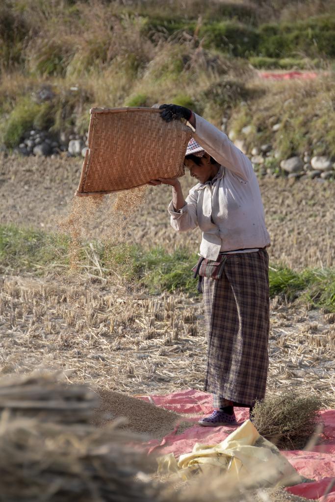 Aux alentours de Jangtsa Dumtseg Lhakang [Bhoutan] - 2018