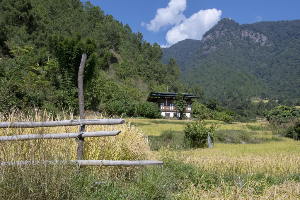 Vallée de Punakha, [Bhoutan] - 2018