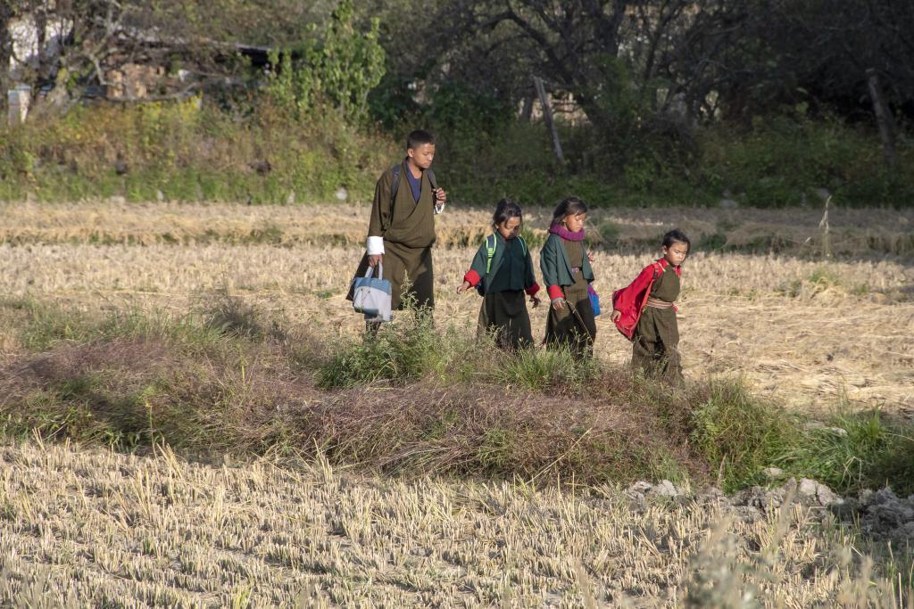 Aux alentours de Jangtsa Dumtseg Lhakang [Bhoutan] - 2018