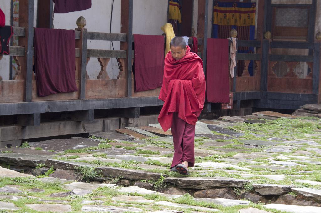 Monastère de Gangtey, vallée de Phobjika [Bhoutan] - 2017