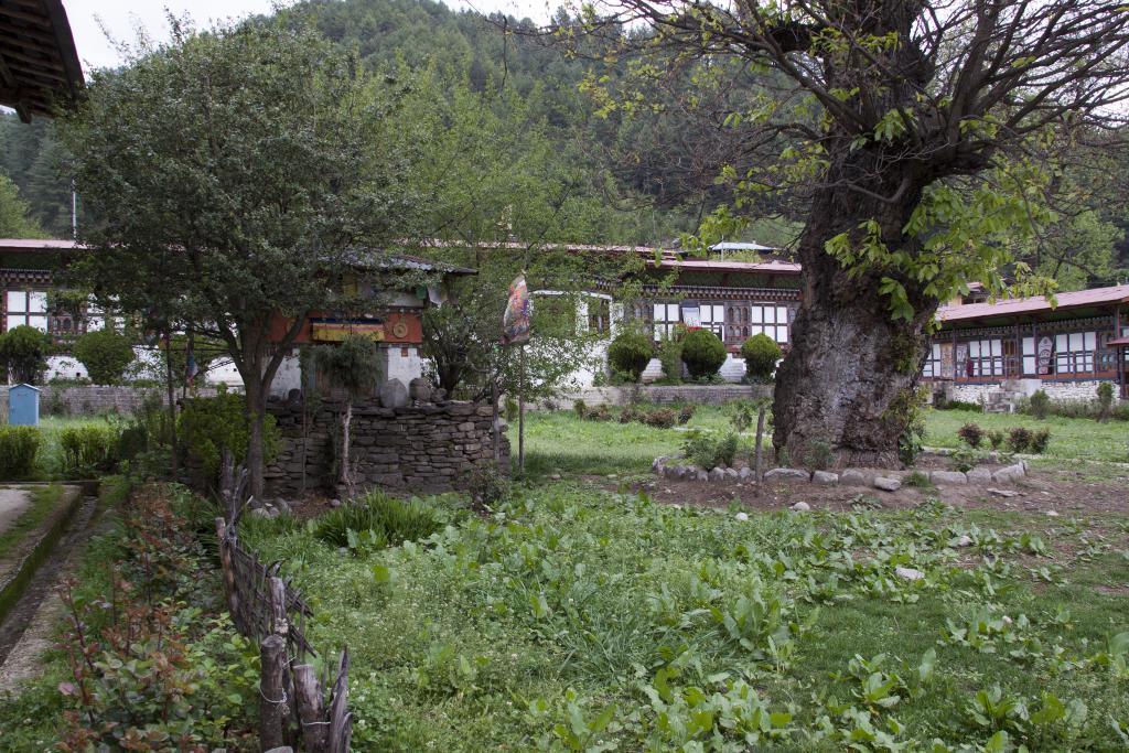 Monastère de Tamshing, vallée de Chamkhar [Bhoutan] - 2017