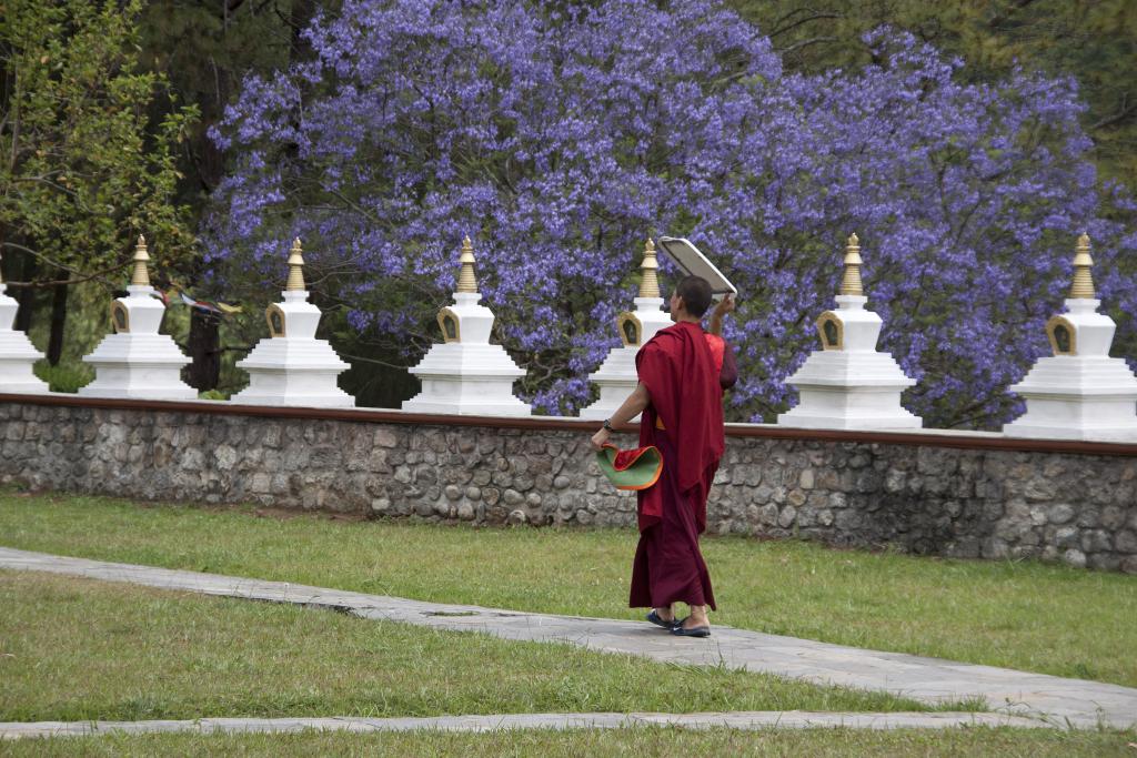Monastère de Nyizergang, vallée de Punakha [Bhoutan] - 2017