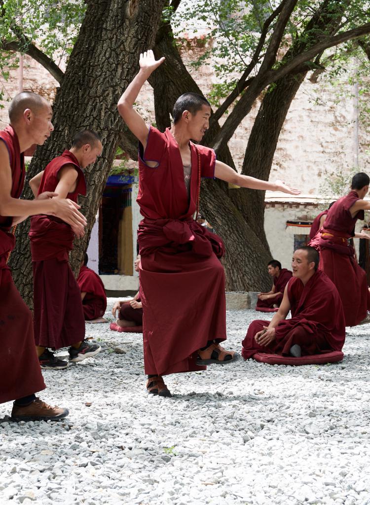 Joutes oratoires au monastère de Sera [Tibet] - 2019