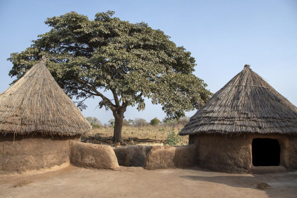 Sur le toit d'une tata somba [Bénin] - 2018