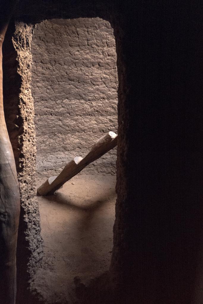 L'échelle pour monter sur le toit d'une tata somba [Bénin] - 2018