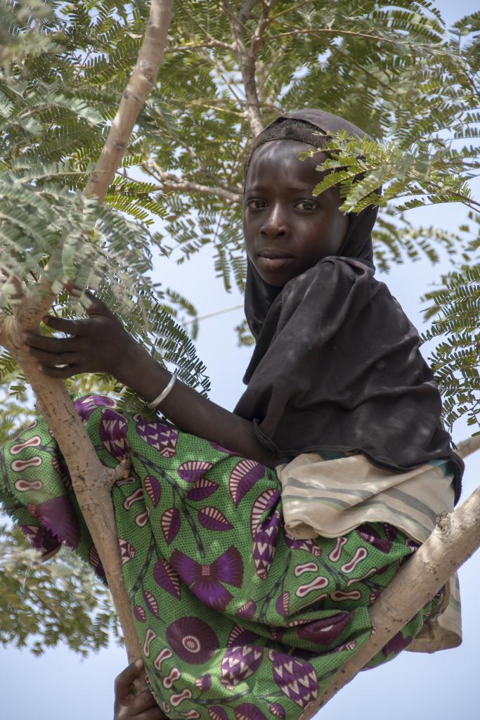 En territoire peul, dans la région de Tanguieta [Bénin] - 2018