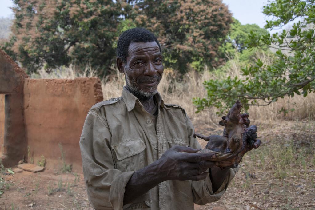 Un rat pour le repas, massif de l'Atakora [Bénin] - 2018