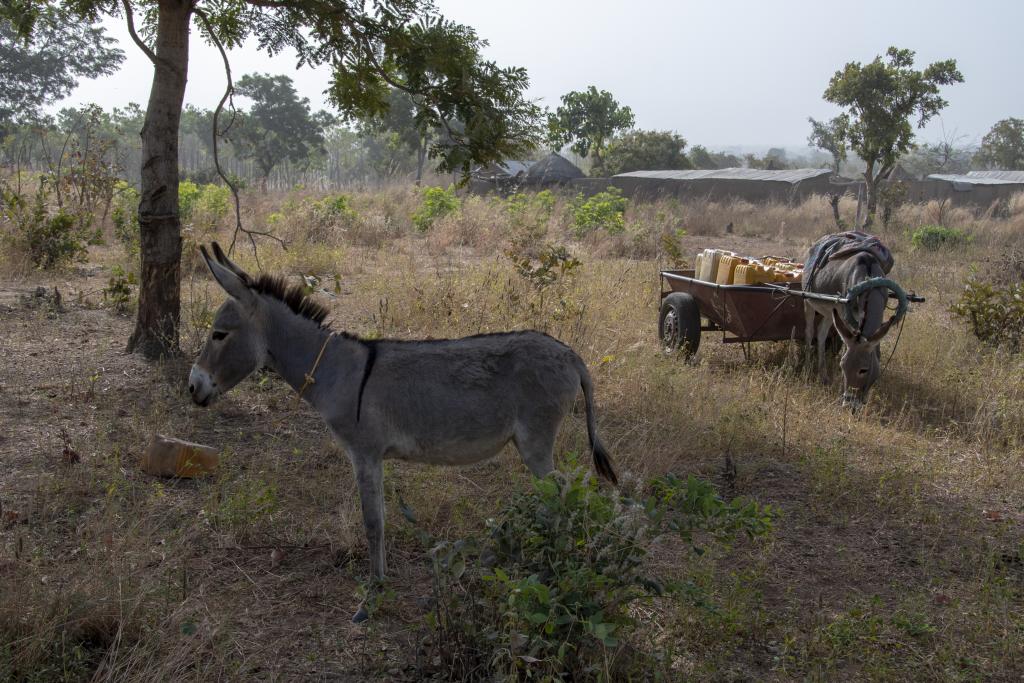 En territoire peul, dans la région de Tanguieta [Bénin] - 2018