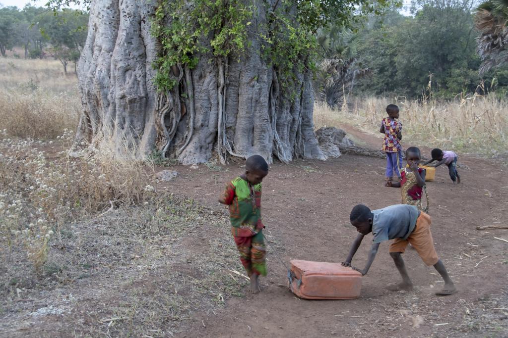 Pays Otammari, massif de l'Atakora [Bénin] - 2018