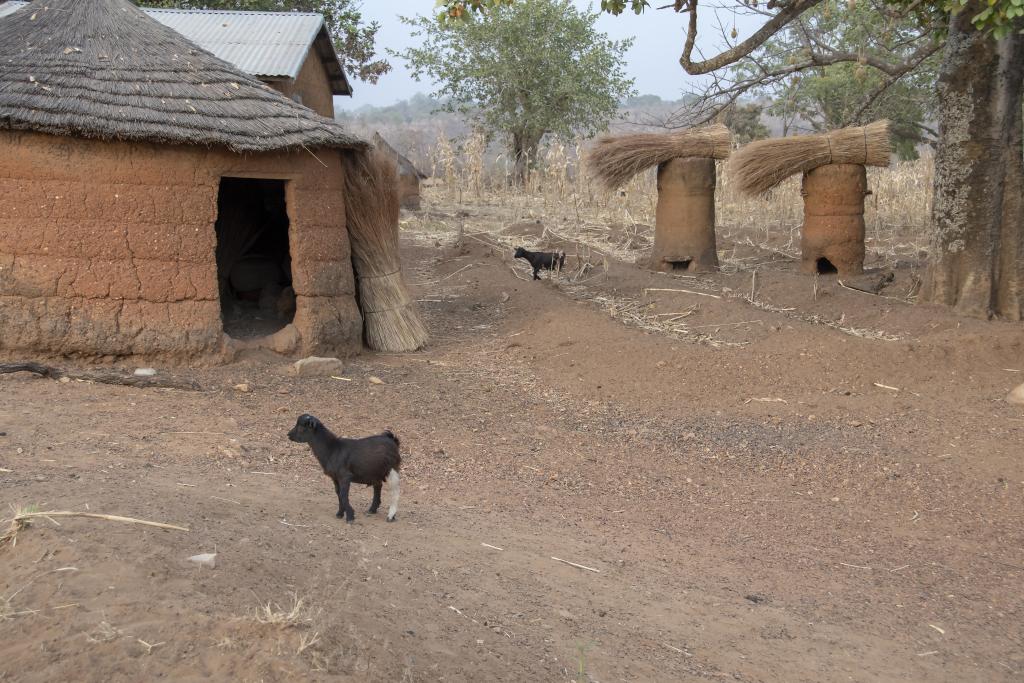 Greniers permettant de remiser les céréales [Bénin] - 2018