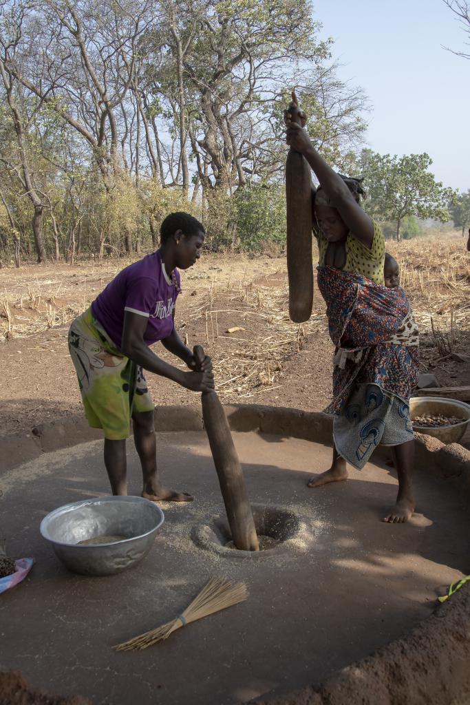 Pays Otammari, massif de l'Atakora [Bénin] - 2018