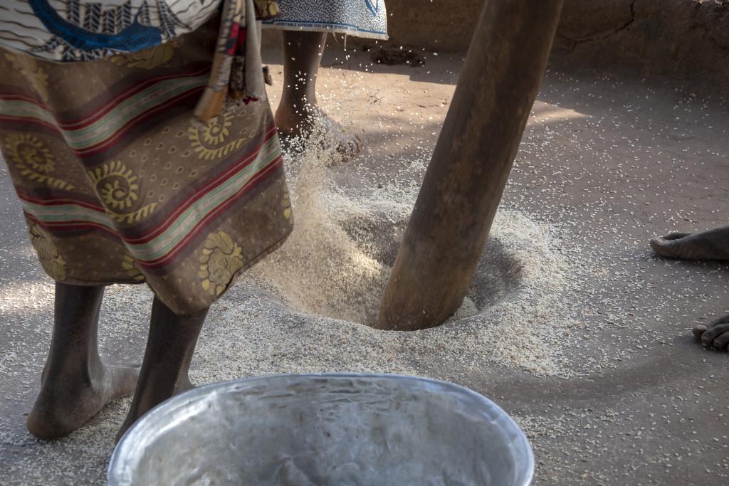 Pays Otammari, massif de l'Atakora [Bénin] - 2018