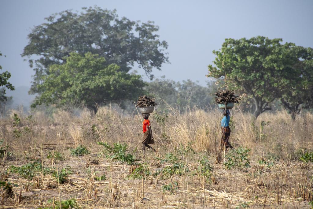 Dans la région de Tanguieta [Bénin] - 2018