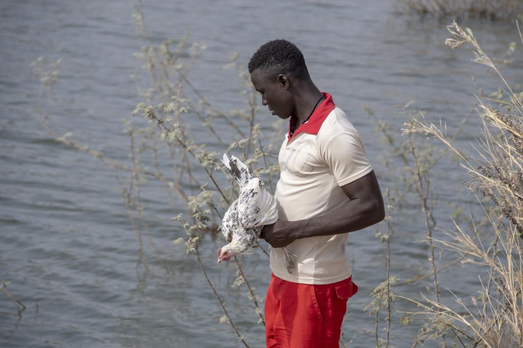 Région de Tanguieta [Bénin] - 2018