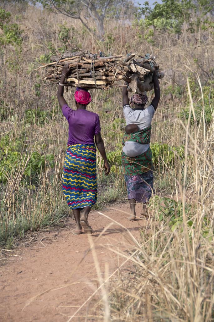 Wamas dans la région de Tanguieta [Bénin] - 2018