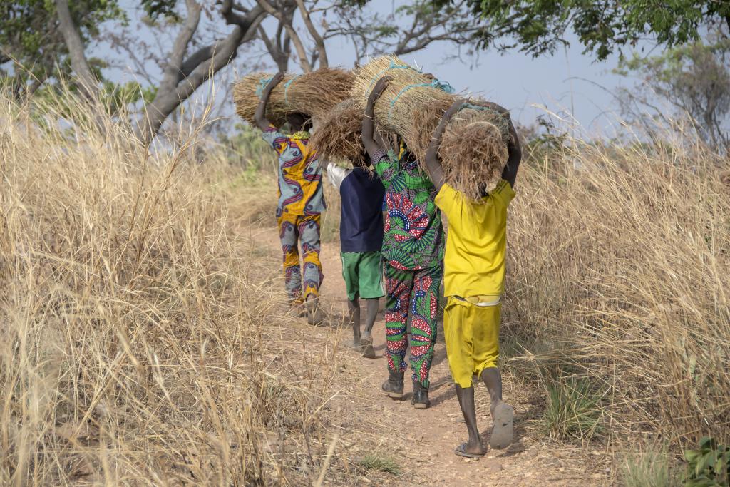 Wamas dans la région de Tanguieta [Bénin] - 2018