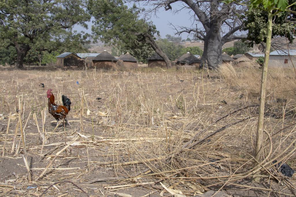 Village wama, Tanguieta [Bénin] - 2018