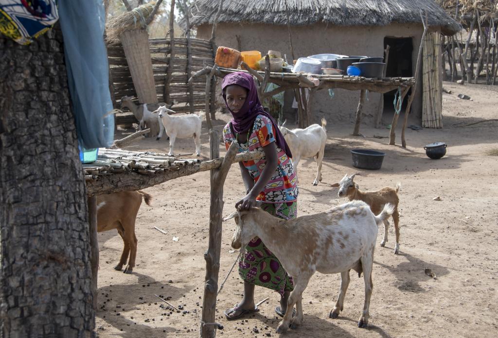 Village peul, près de Tanguieta [Bénin] - 2018