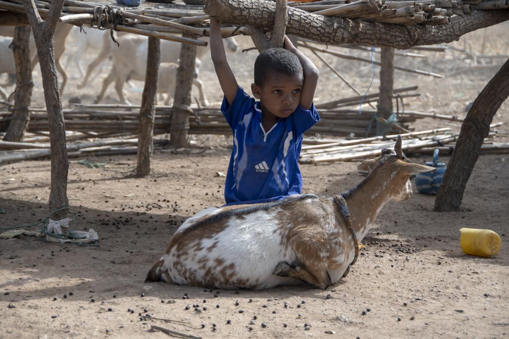 Village peul, près de Tanguieta [Bénin] - 2018