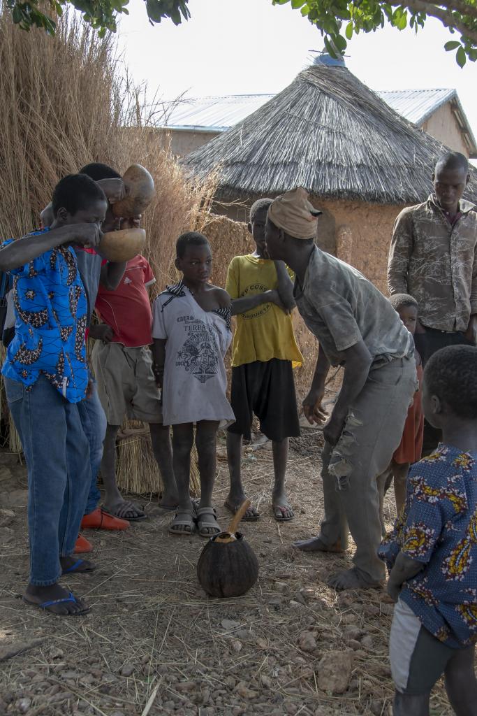Tournée d'alcool de palme, région de Tanguieta [Bénin] - 2018