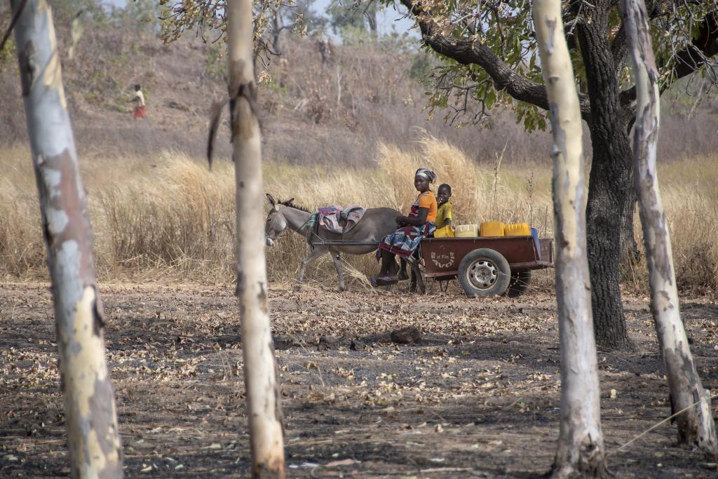 Dans la région de Tanguieta [Bénin] - 2018