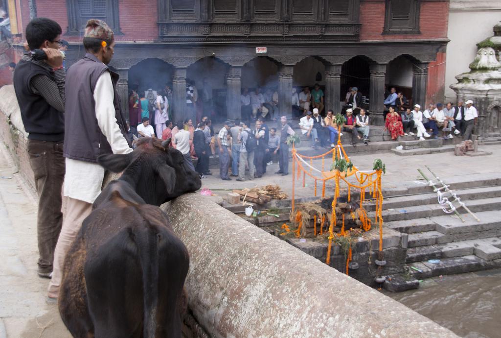 Spectateurs , Pashupatinath -2012